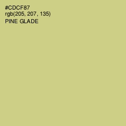 #CDCF87 - Pine Glade Color Image